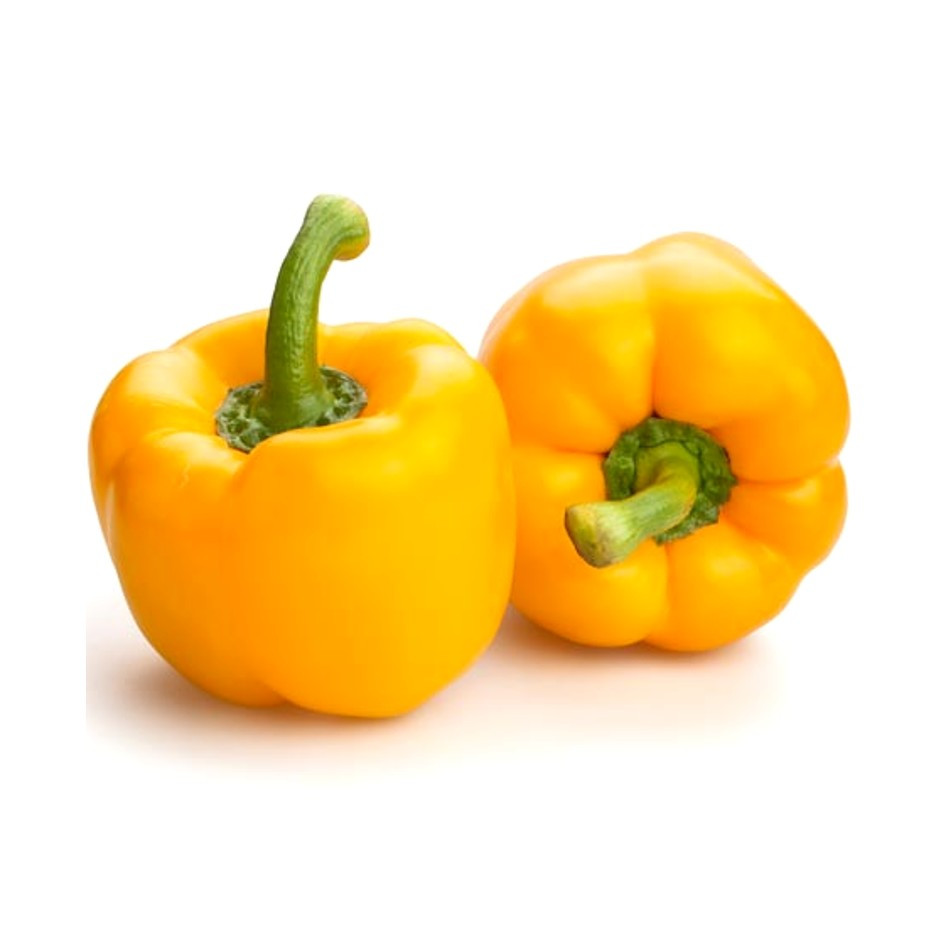 Bellpepper Yellow 250g - Organically Grown | Buy Online in Delhi NCR | Rootz Organics