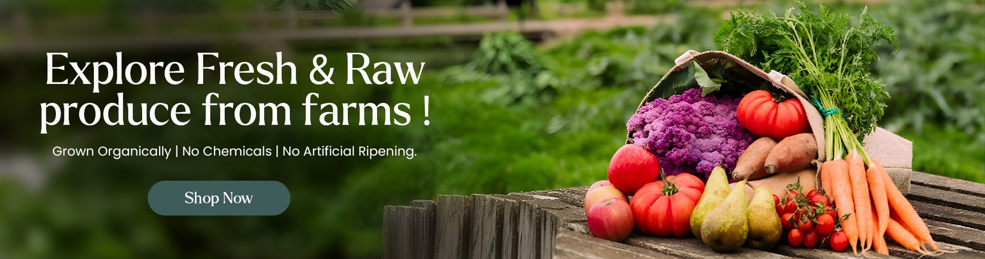 Farm-Fresh Organic Fruits and Vegetables – Delivered to Your Doorstep