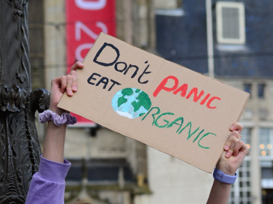organic products