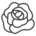 Premium quality rose petals