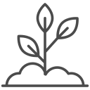 Grown in Volcanic & Alluvial Soils