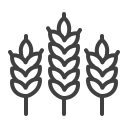 USDA