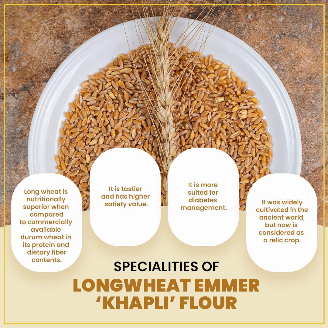 Organic Long Wheat Emmer (Khapli) Flour 5kg