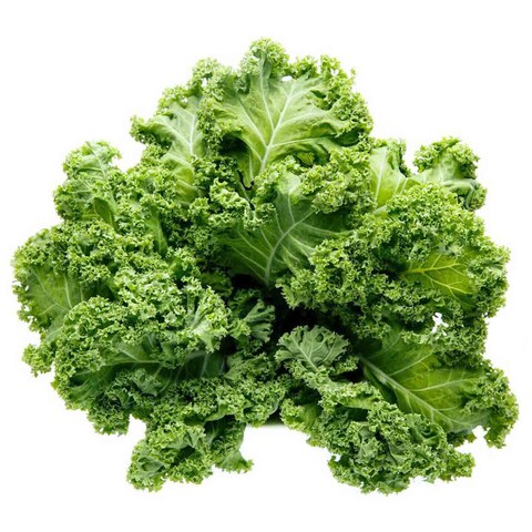 Curly Kale (eco-pack)- 125gm pack (eco-pack)