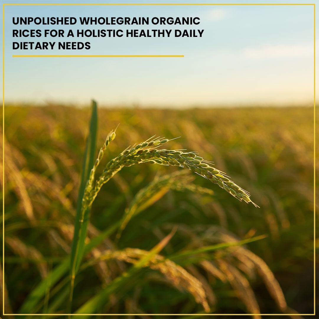 Brown Rice Sonamasuri 1 KG