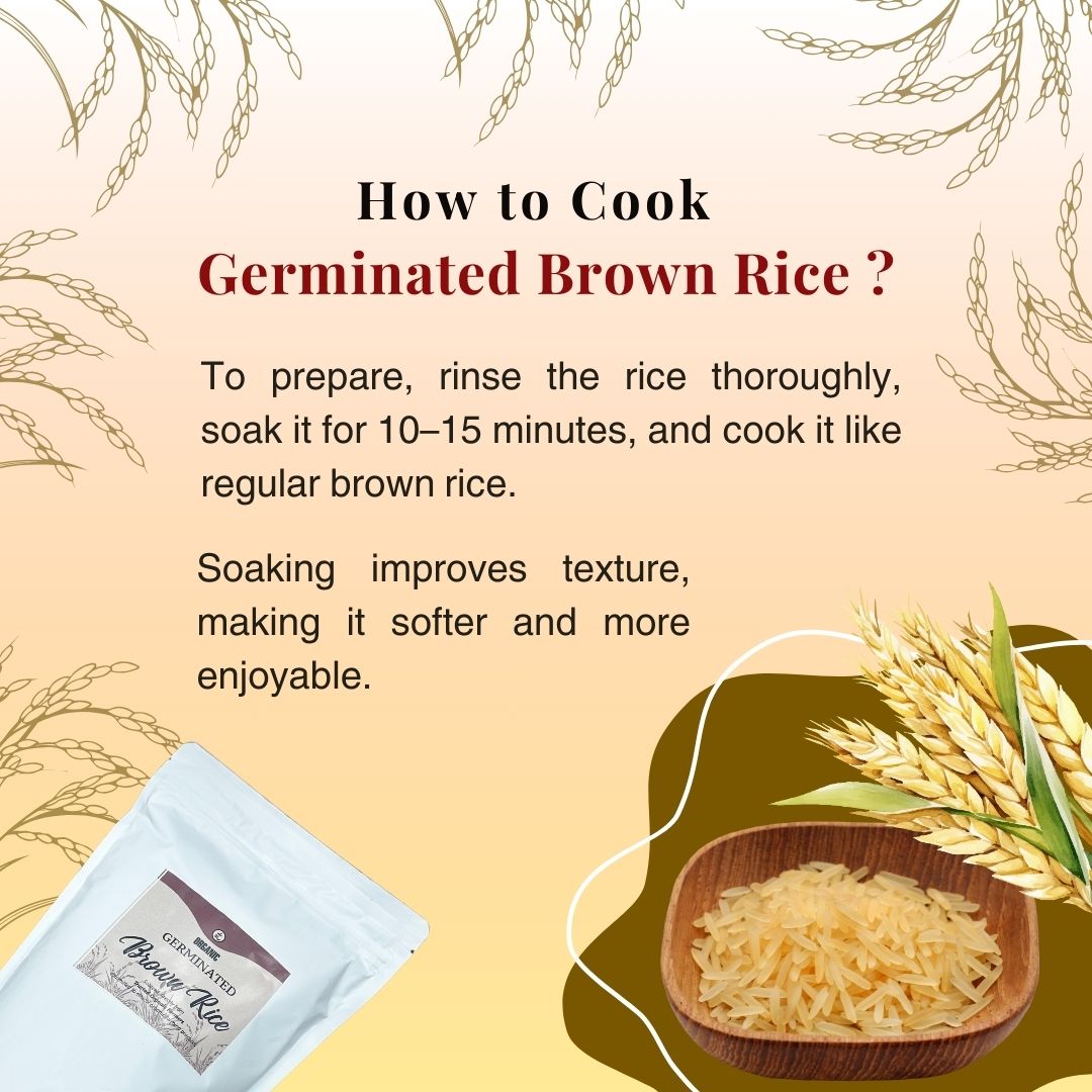 Organic Germinated Brown Rice (Short Grain) 3kg Bulk