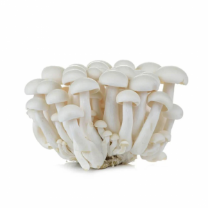 Image of Fresh shimeji white mushroom - 150gm pack