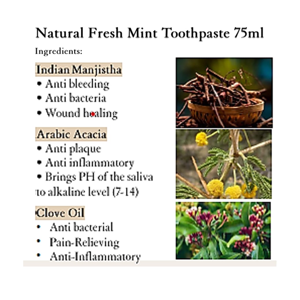 Roze Biohealth Mint Toothpaste