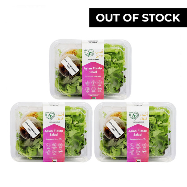 Image of Asian Fiesta Salad 190gm - PACK OF 3 by Rootz Organics