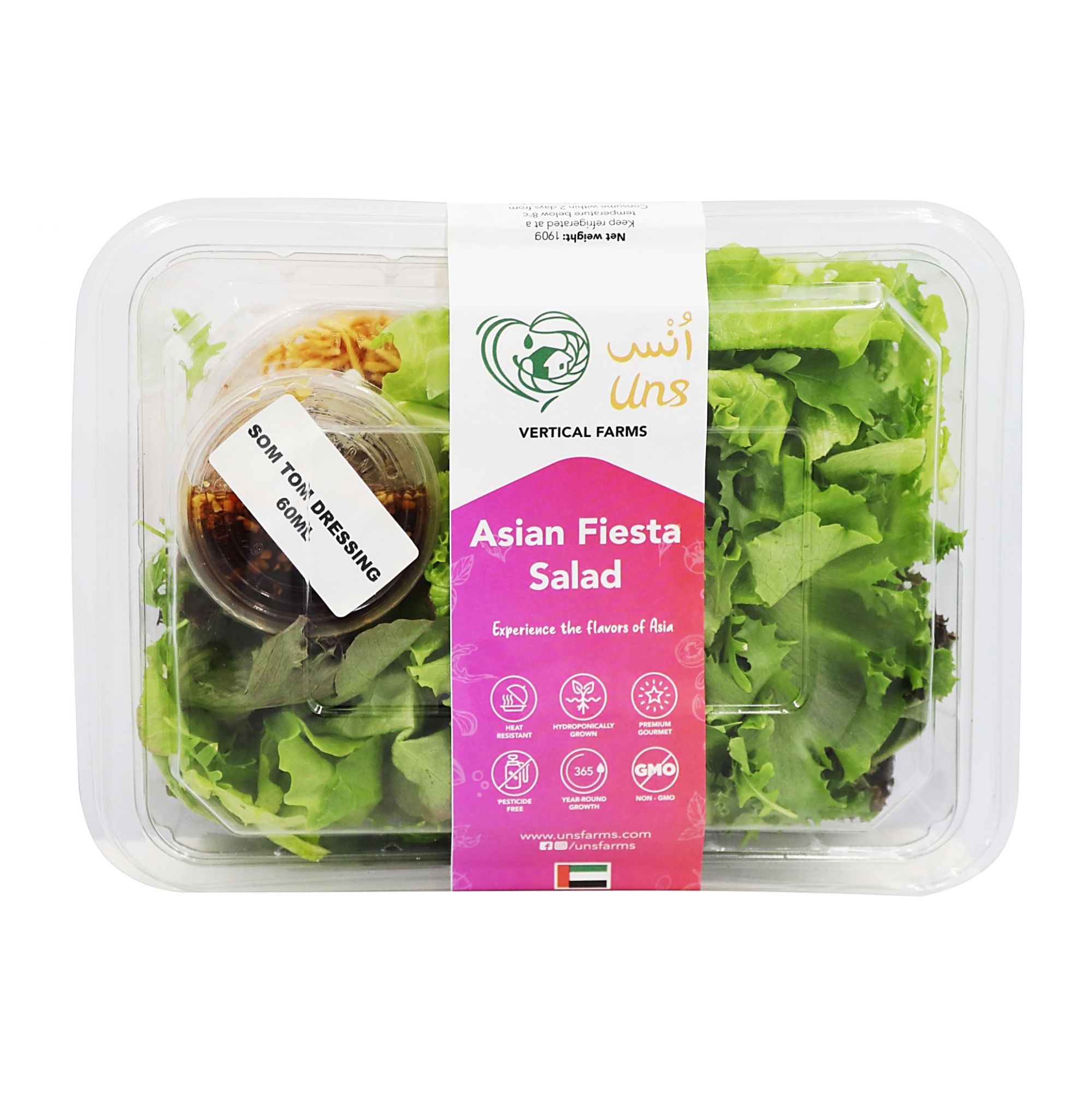 Asian Fiesta Salad 190gm - PACK OF 3 by Rootz Organics