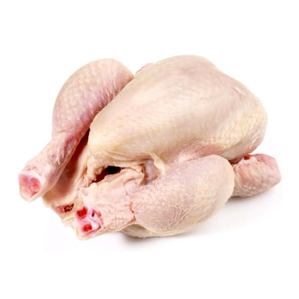 Image of Fresh Baby Chicken ( 1 Pc ) – Extra Tender Whole Chicken