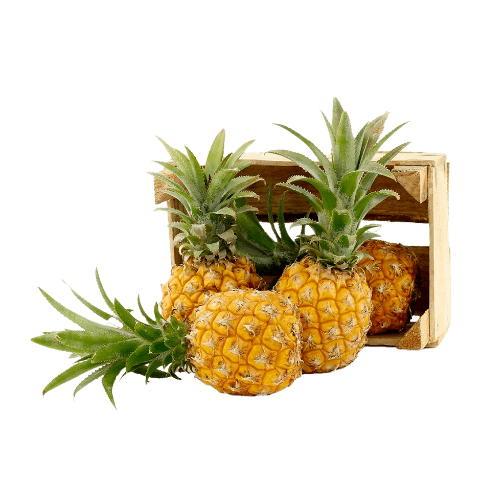 Rootz Organics Baby Pineapple 400-500g — Sweet Victoria Pineapple, Air-Flown from Mauritius