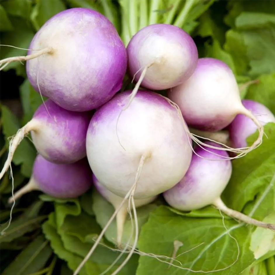 Rootz Organics Baby Turnip (South Africa) 200g — Sweet, Tender & Ready to Roast, Mash or Pickle