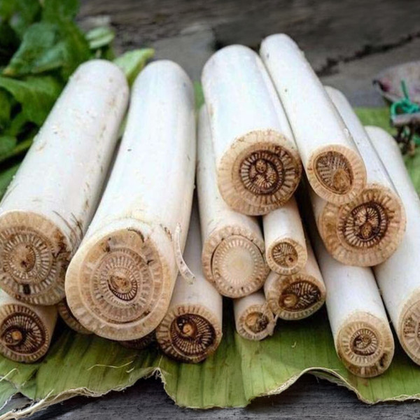 Image of Banana stems - 1 pcs
