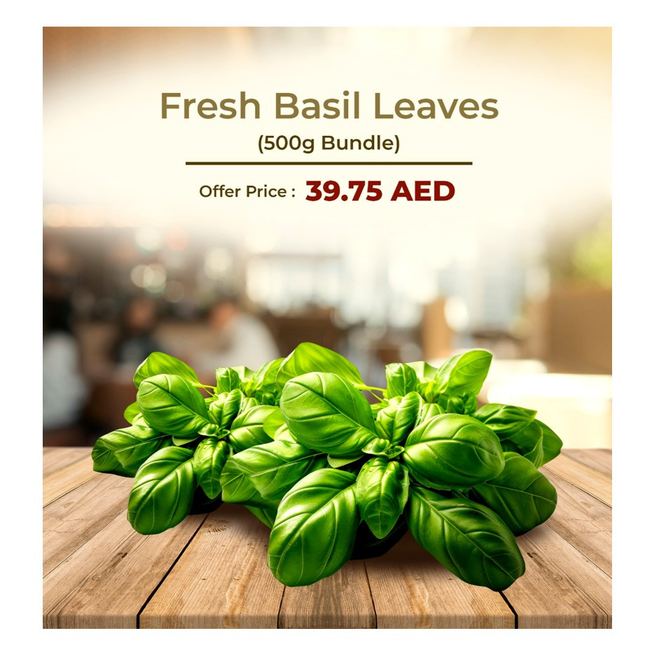 Basil leaves 500gm bundle