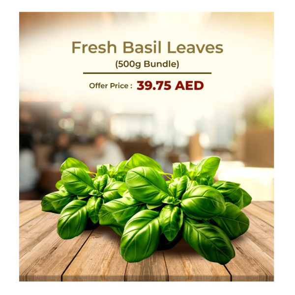 Image of Basil leaves  500gm bundle