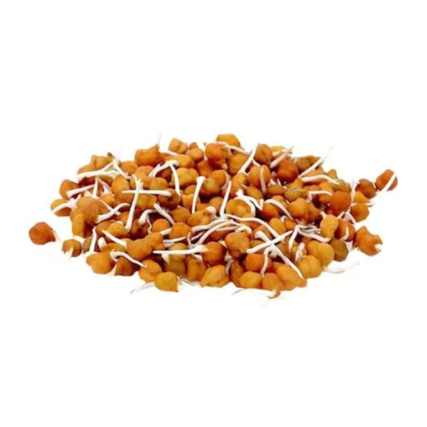 Image of Rootz Fresh Black Chickpea Sprouts 200g – Protein Rich Kala Chana Sprouts for Salads &amp; Healthy Recipes