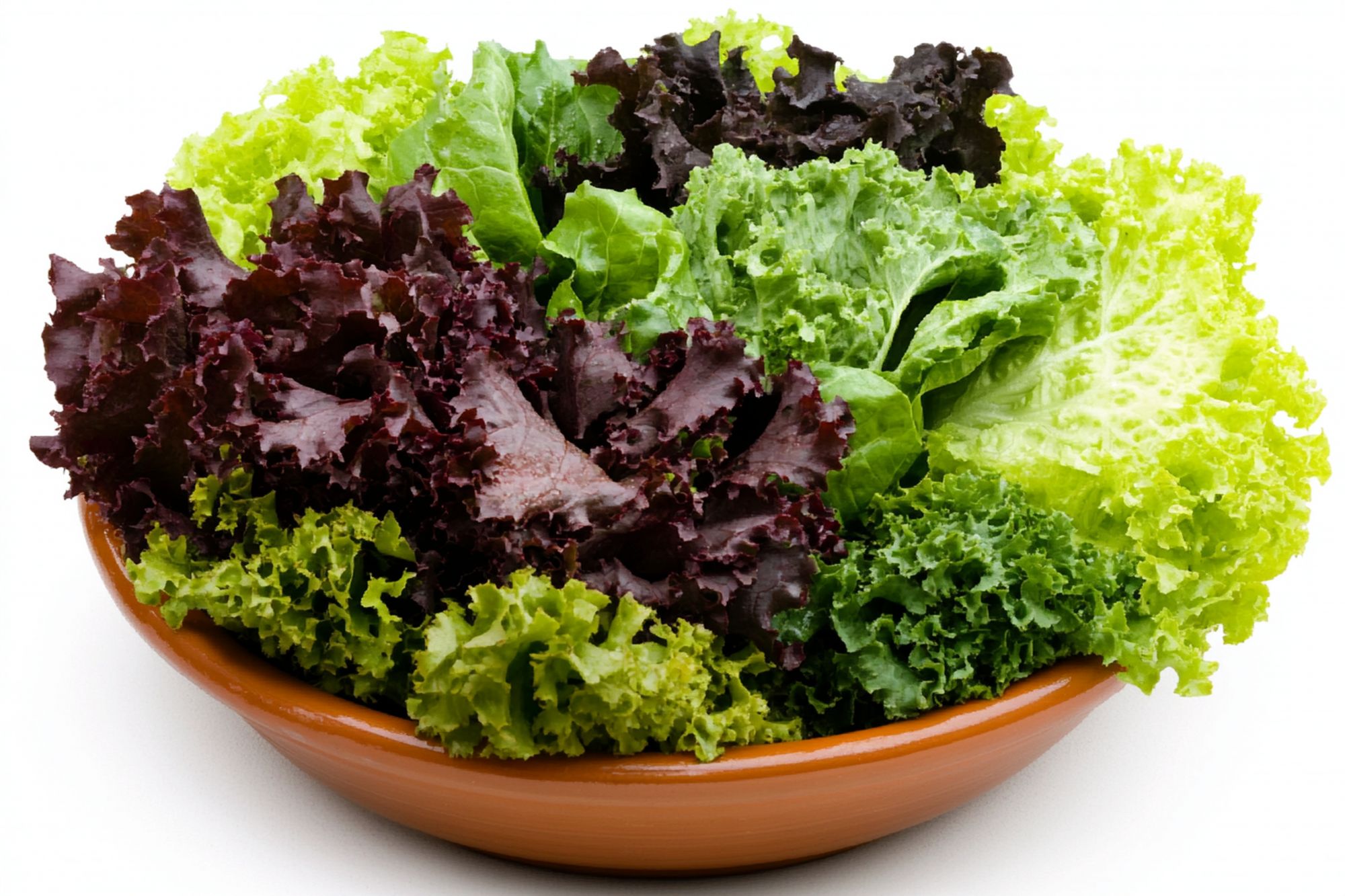 Chopped Lollo mix- 100gm pack