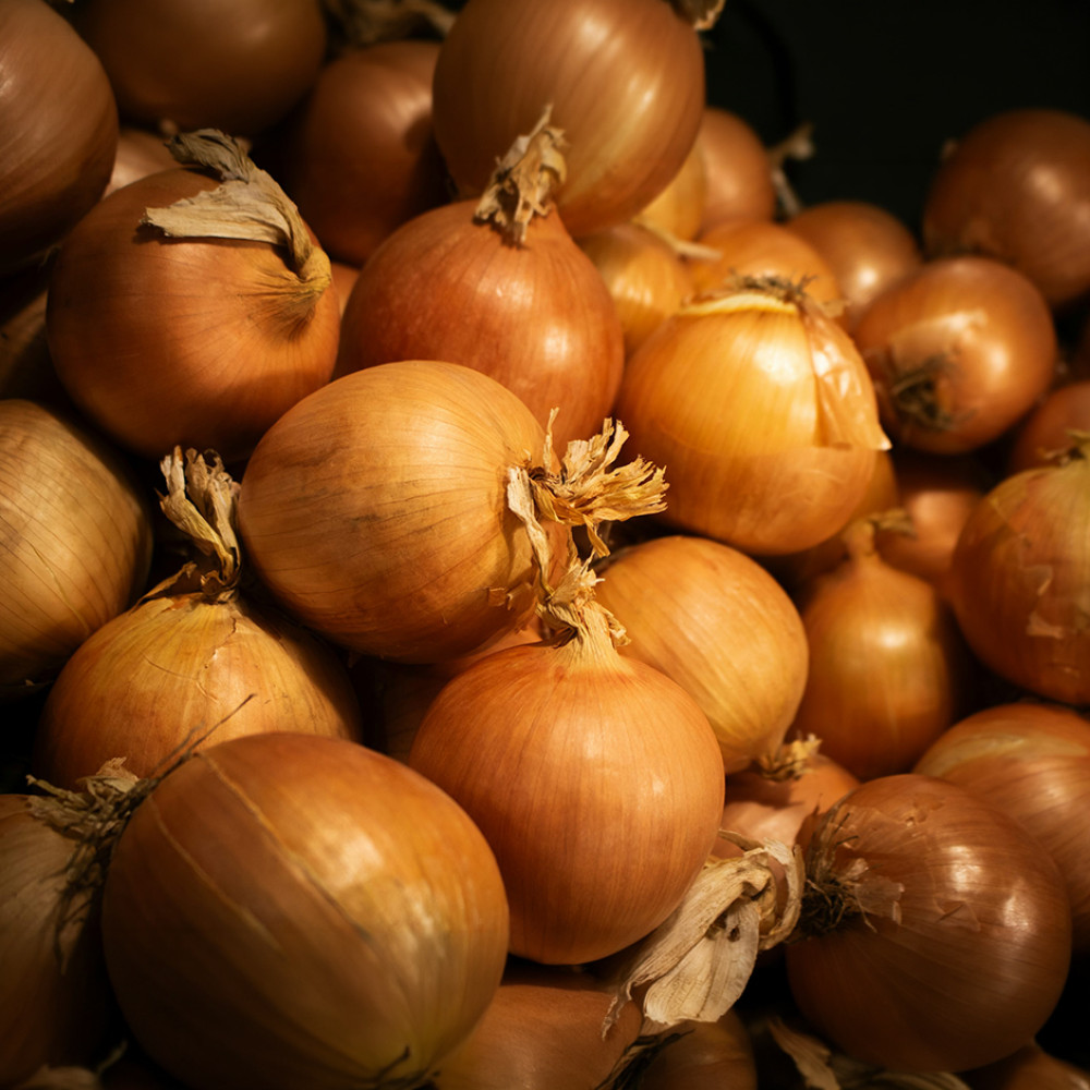 4kg Brown Onion