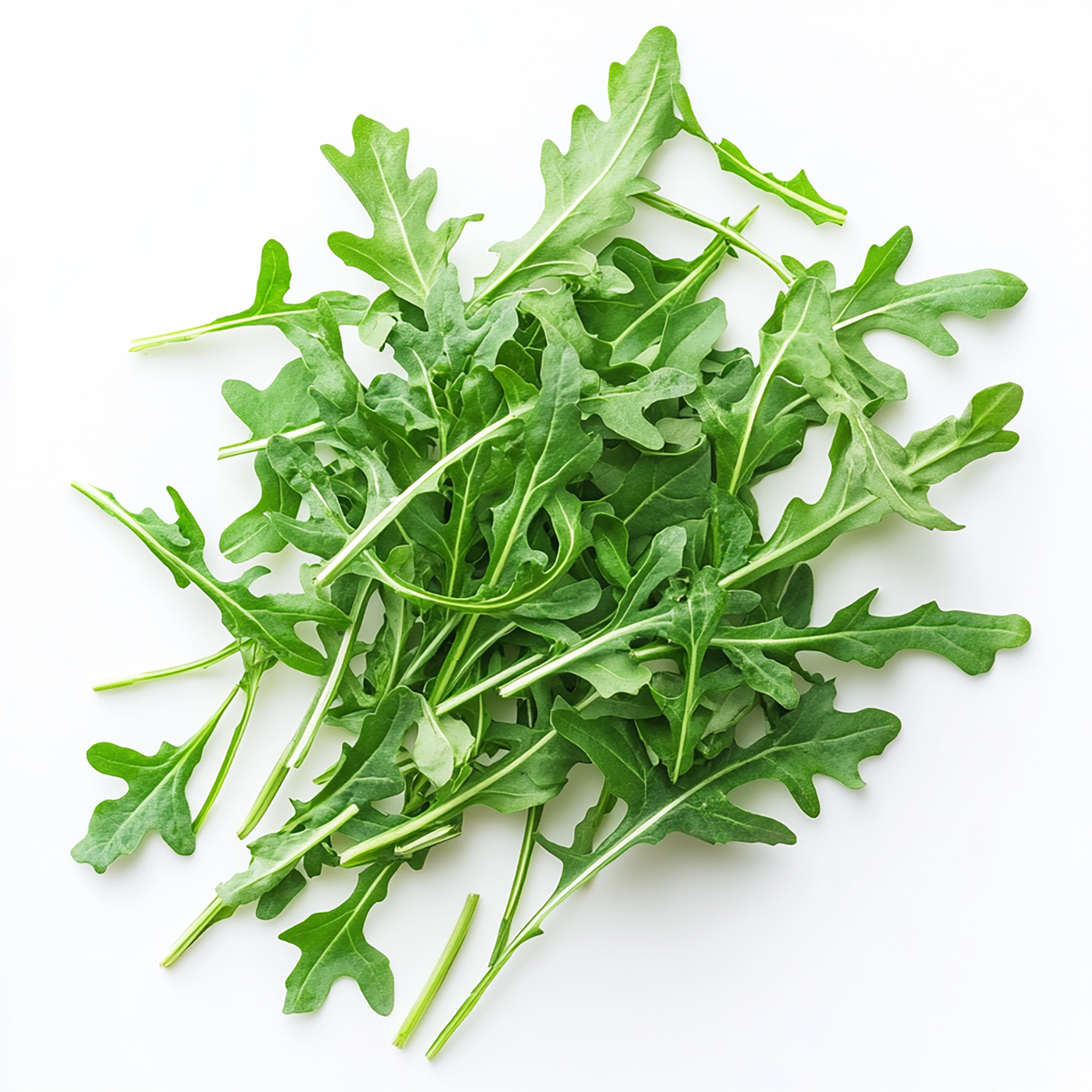 Rocket leaves- 125gm pack