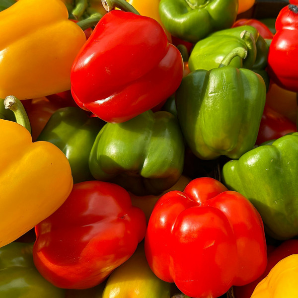 Image of Organic Capsicum Mix 500 GM