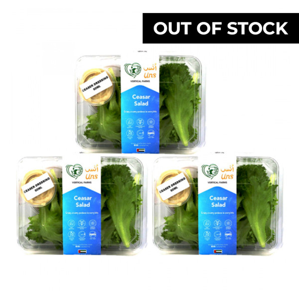 Image of Ceasars Salad 190gm ,Pack of - 3 by Rootz Organics