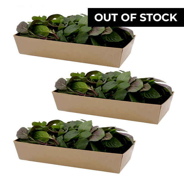 Image of Chocolate Mint 50gm, Pack of - 3 by Rootz Organics