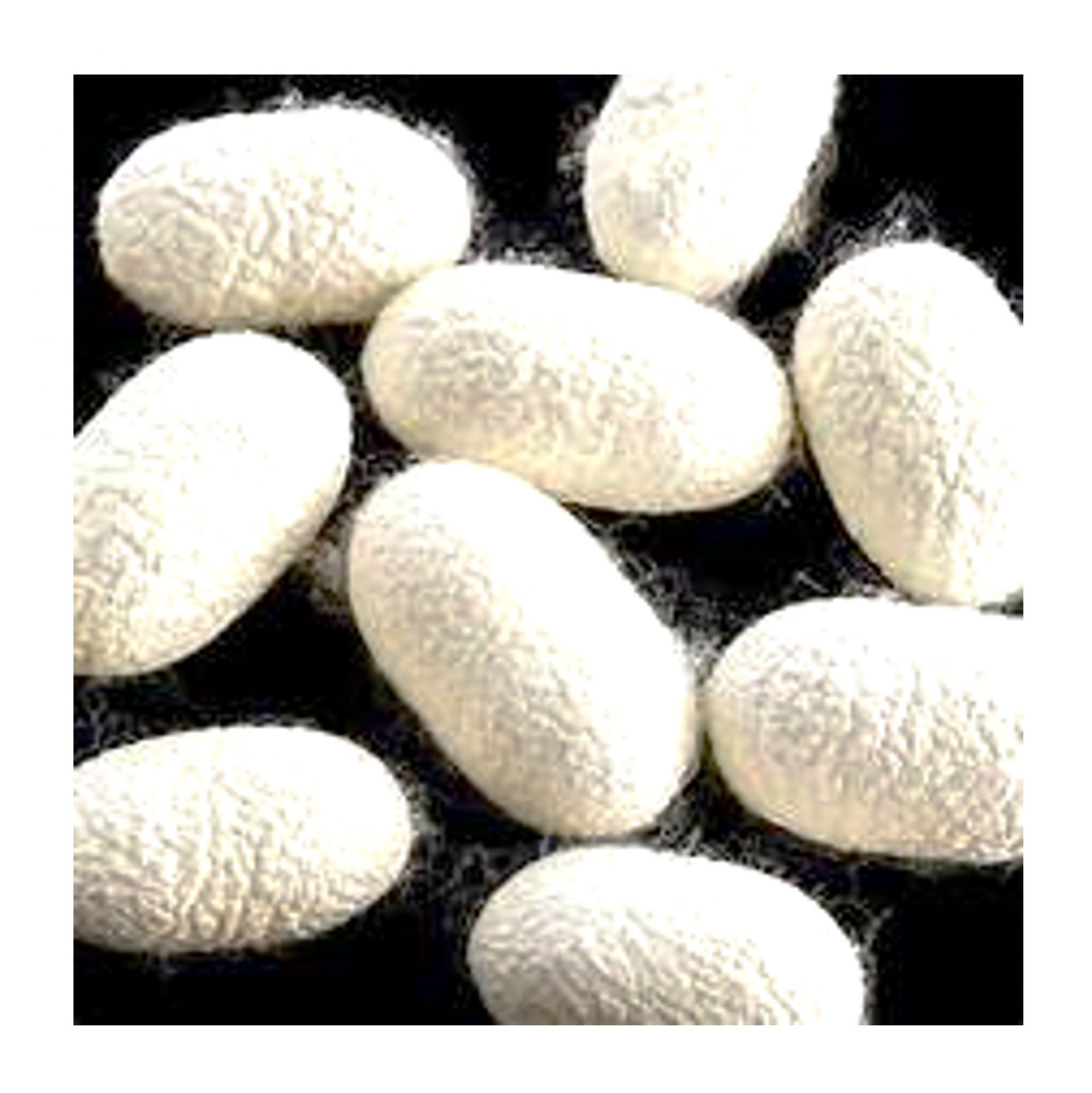 Silk Cocoons - Healthy Skin care Scrub (Pack of 8)