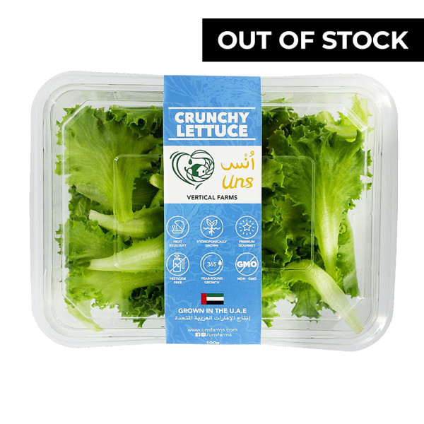 Image of Crunchy Lettuce 100gm by Rootz Organics