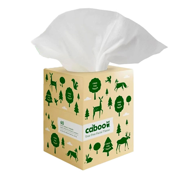 Image of Caboo Cube Facial Tissues – 60 Count, 3 Ply Pack of 2 | Rootz Organics