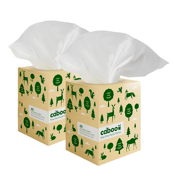 Image of Caboo Cube Facial Tissues – 60 Count, 3 Ply Pack of 2 | Rootz Organics