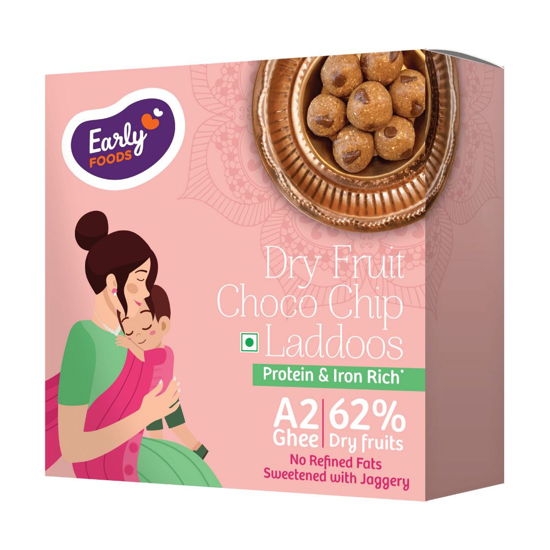 Early Foods -Dry Fruit Choco Chip Laddoo