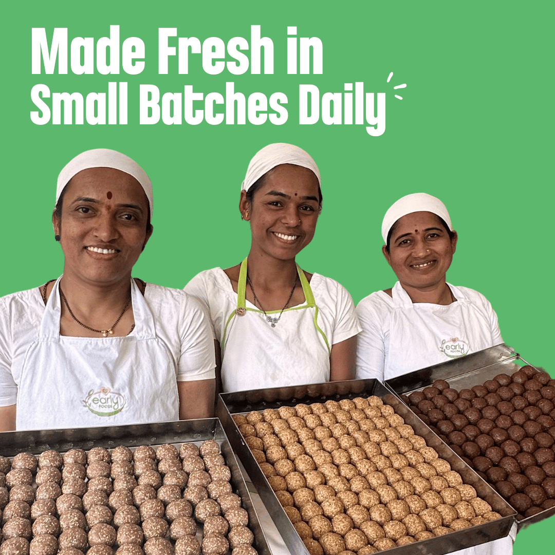 Early Foods -Dry Fruit Choco Chip Laddoo