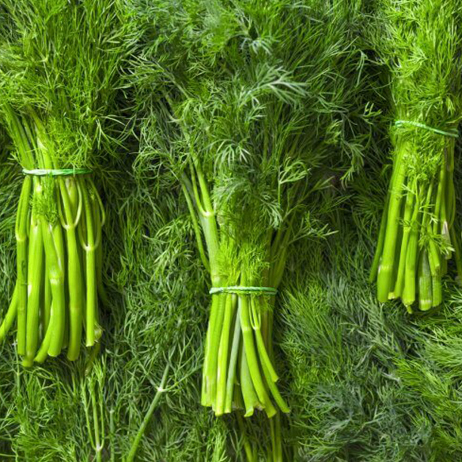 Dill Leaves 100g