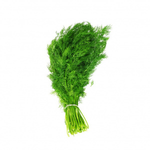Image of Dill Leaves 100g