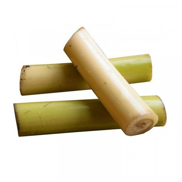 Image of Banana stems - 1 pcs