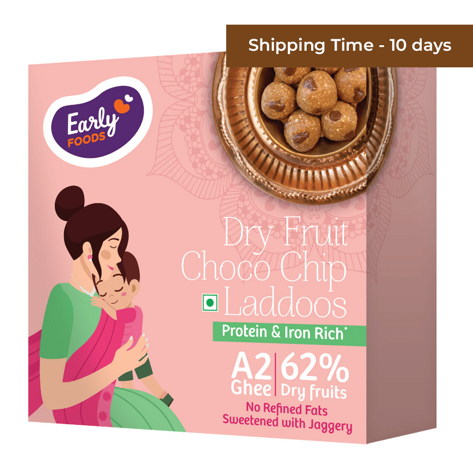 Early Foods -Dry Fruit Choco Chip Laddoo