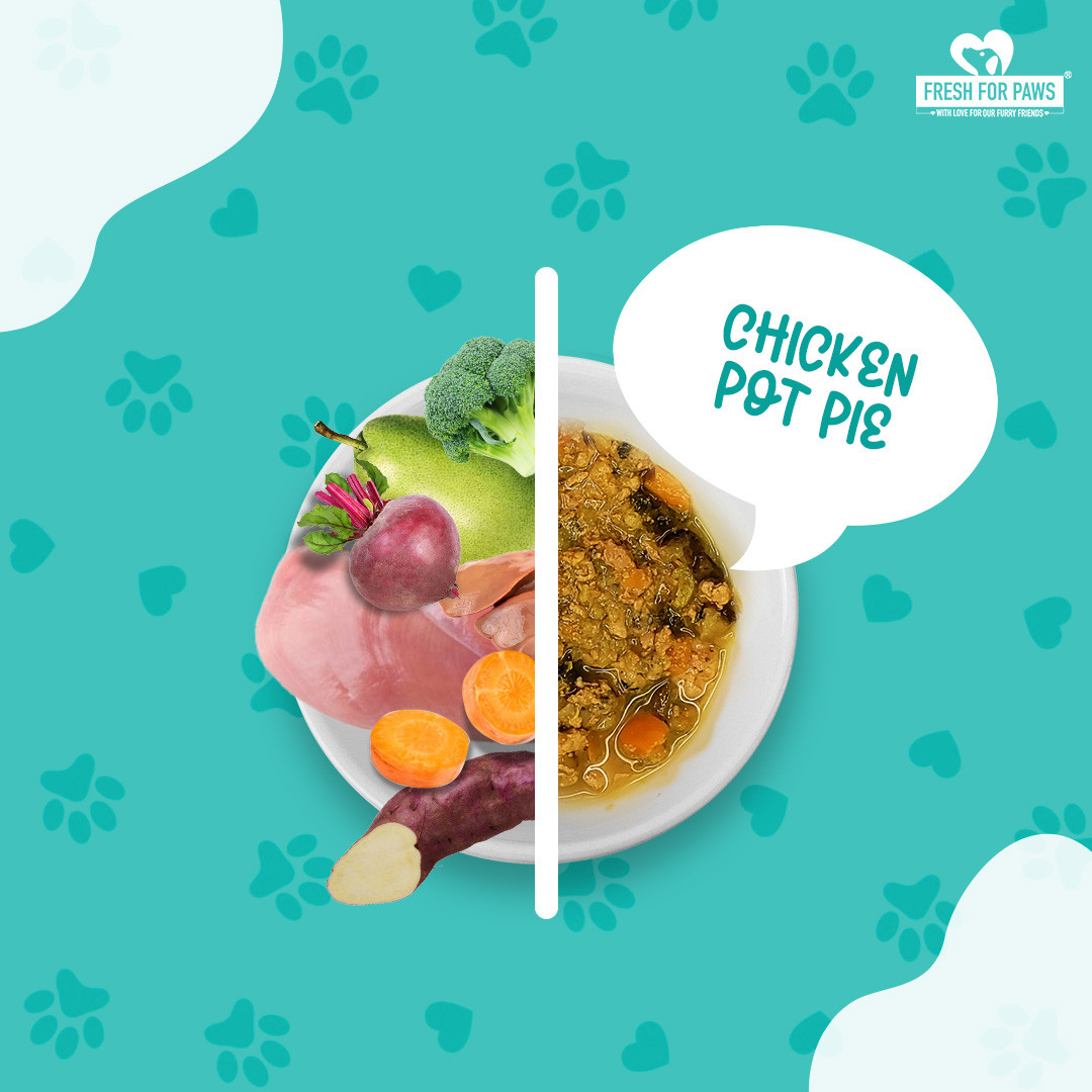 Chicken Pot Pie 300 gram (Pack of 2)