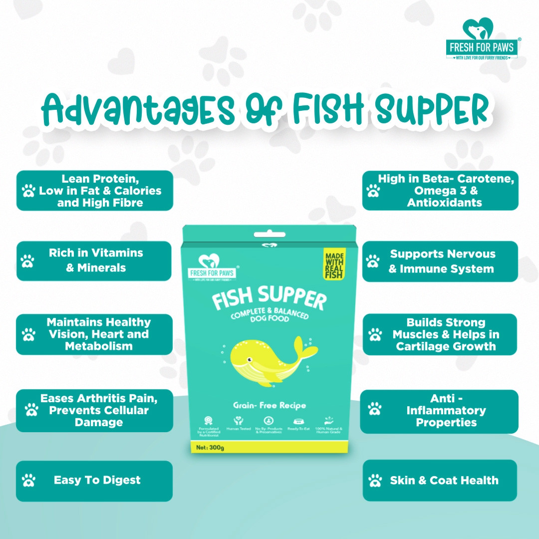 Fish Supper 300 gram(Pack of 2)