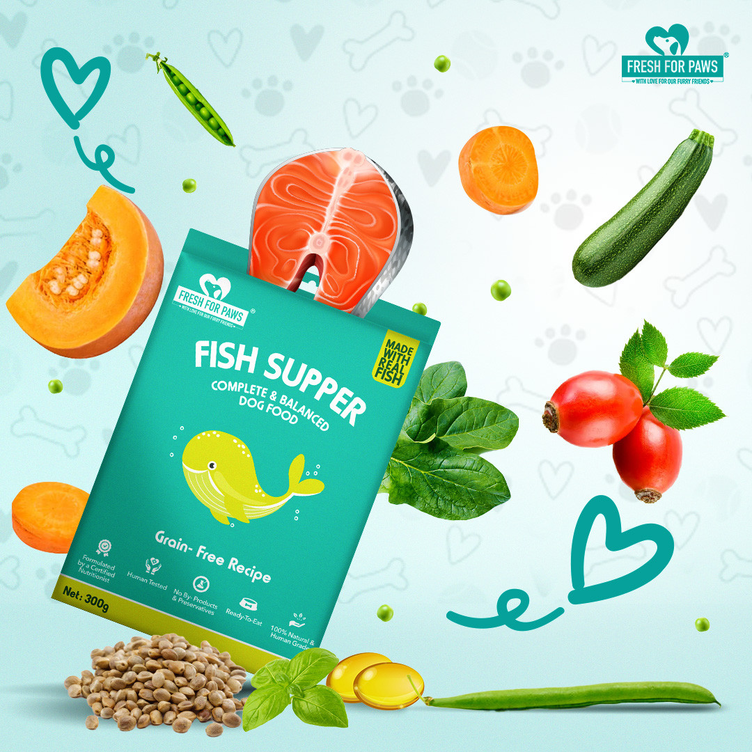 Fish Supper 300 gram(Pack of 2)