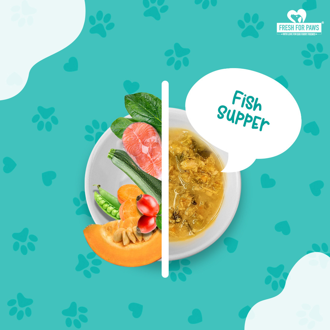 Fish Supper 300 gram(Pack of 2)