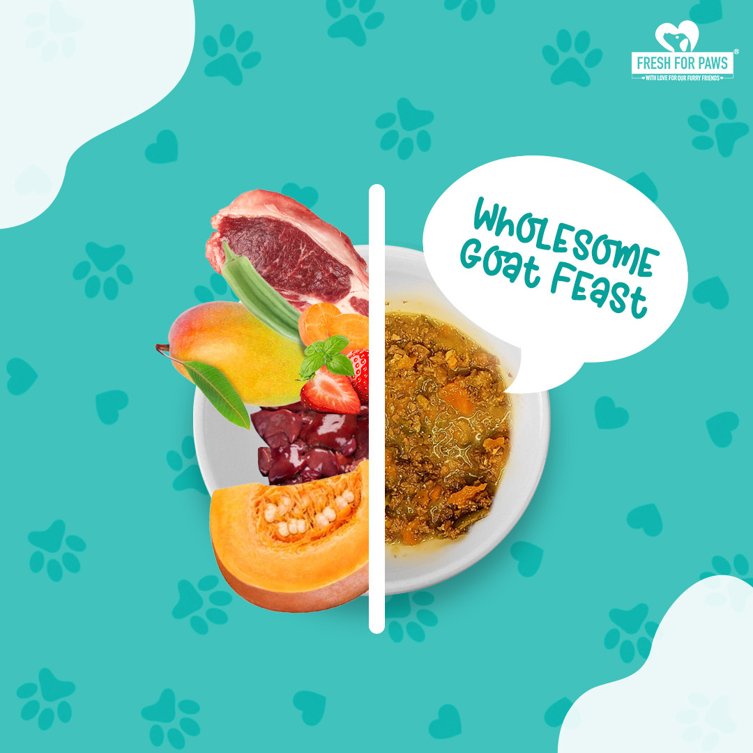 Wholesome Goat Feast 300 gram (Pack of 2)