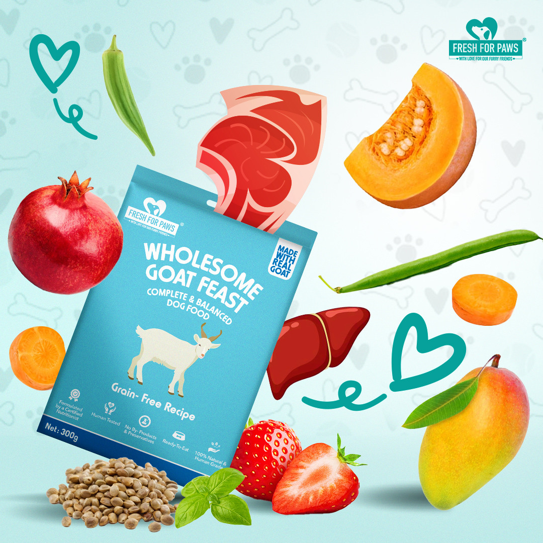 Wholesome Goat Feast 300 gram (Pack of 2)