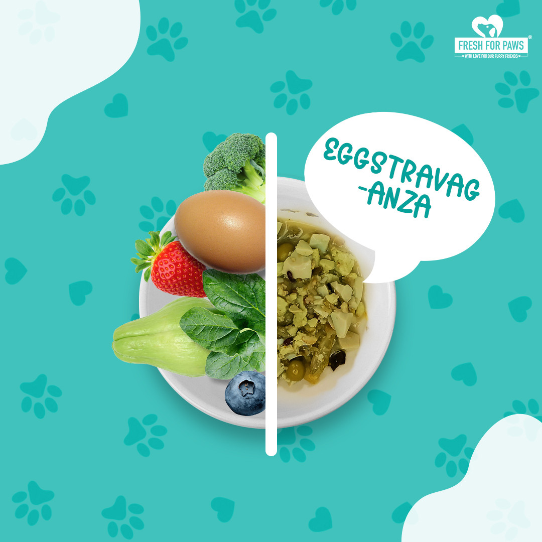 Eggstravaganza 300 gram (Pack of 2)