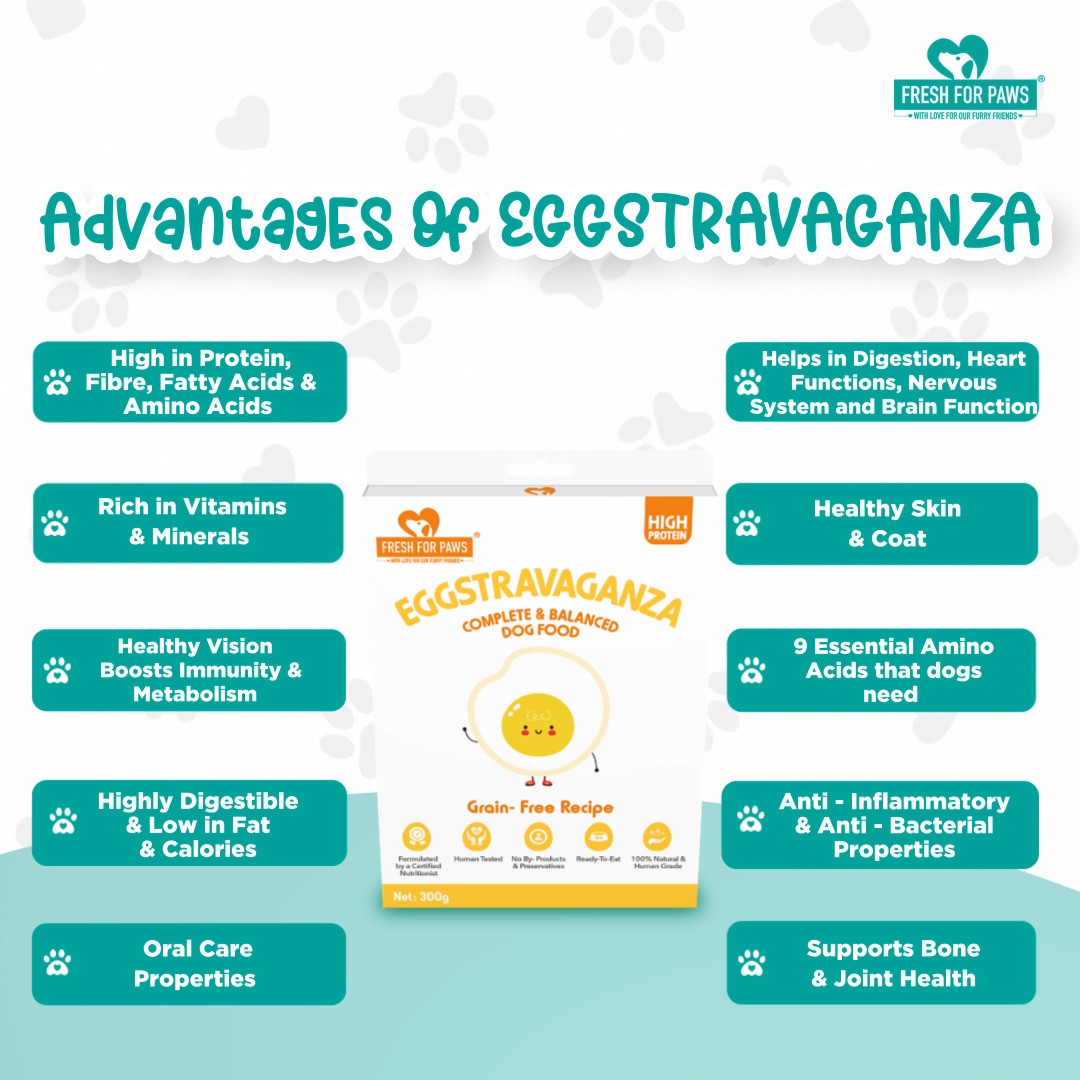 Eggstravaganza 300 gram (Pack of 2)