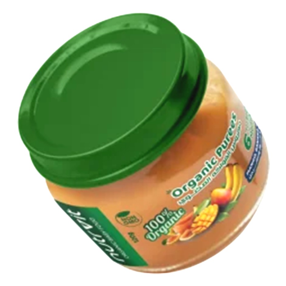 Organic Mango, Banana, Quince Puree 120gm - Pack of 6