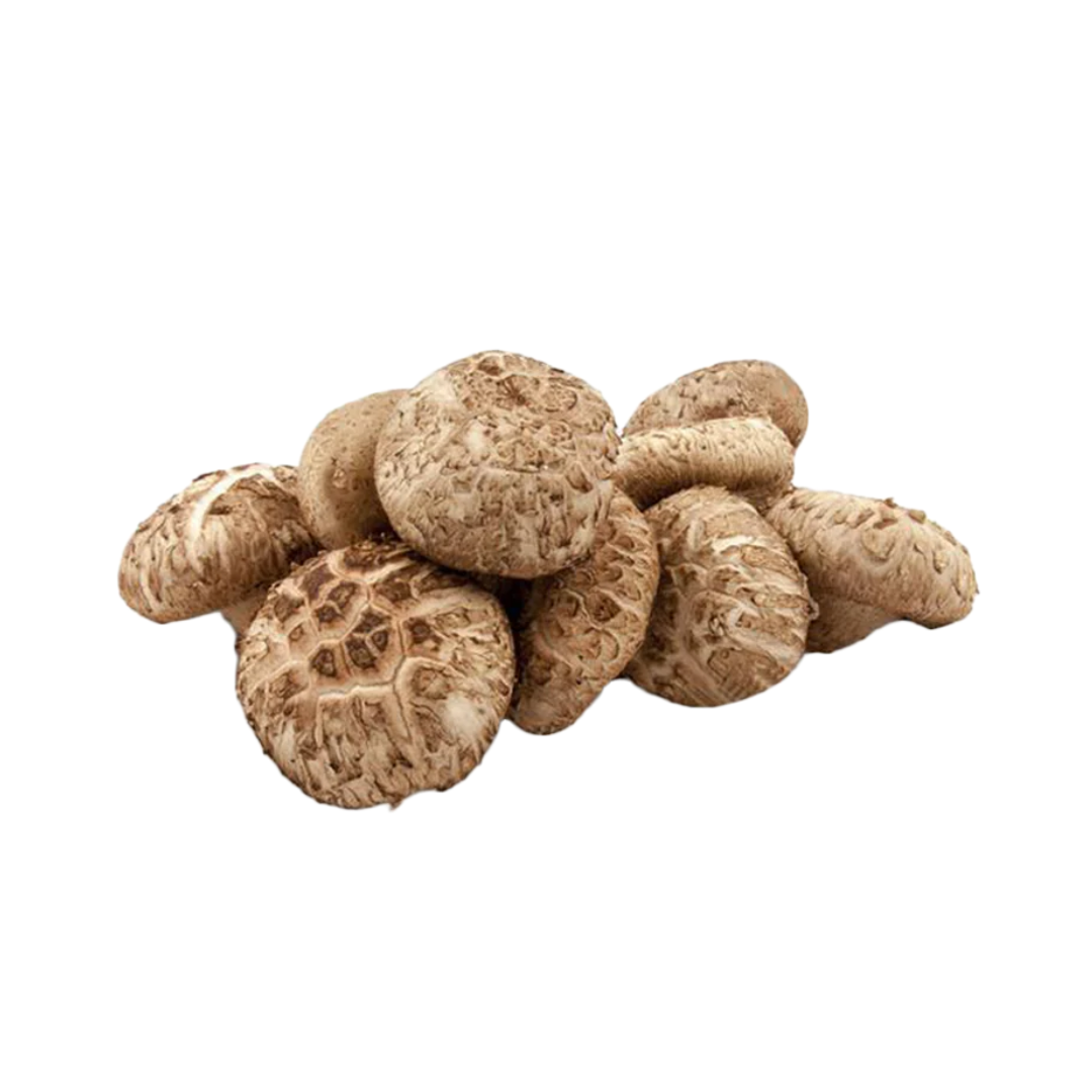 Fresh SHITAKE mushroom 200gm - pack of 2