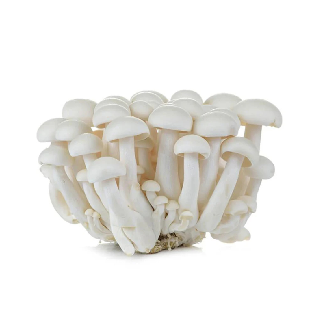 Fresh shimeji white mushroom 200gm - pack of 2
