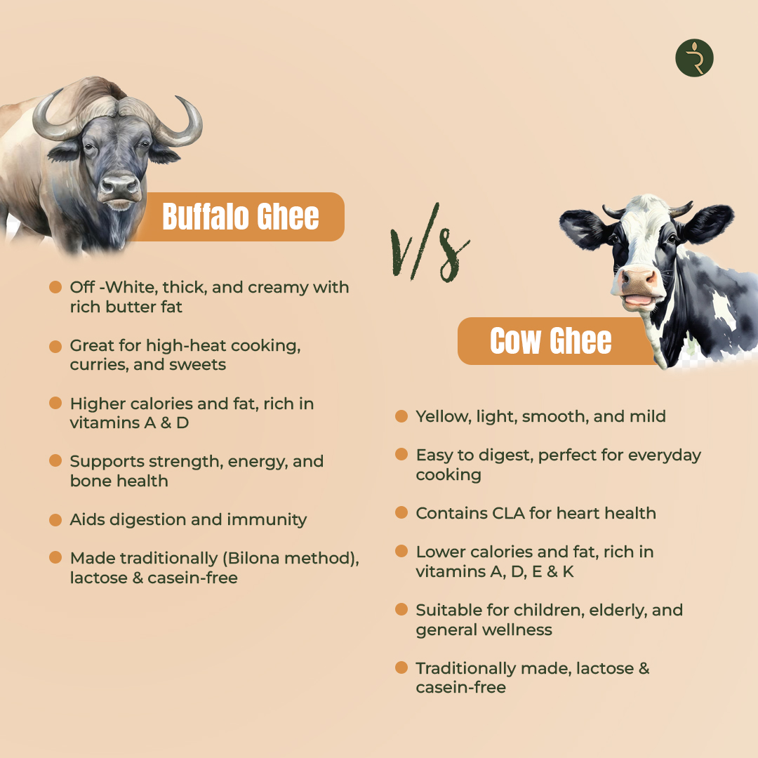 Buffalo Ghee 500g – Authentic Bilona, Grass-Fed, A2 Milk, Lactose-Free, Hand-Churned | Rootz Organics