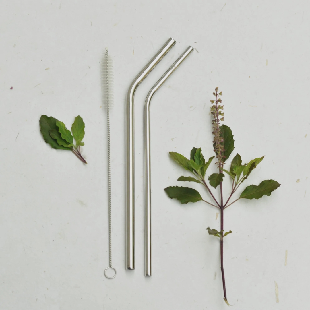 Stainless Steel Straws/ Skinny & Bent / Steel